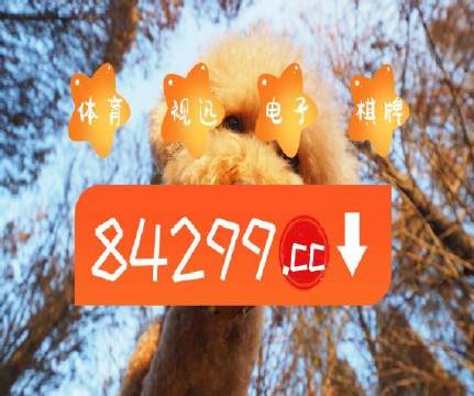 澳門天天開彩好正版掛牌,全面信息解釋定義_EBE29.966內(nèi)容版