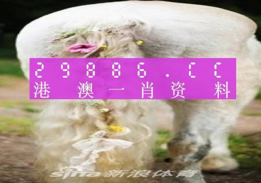 澳門四不像精準(zhǔn)一肖一碼,最新數(shù)據(jù)挖解釋明_YCL50.692時(shí)刻版
