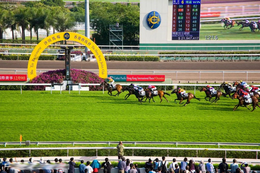 香港六合202427333,數據解析引導_LQC49.897校園版