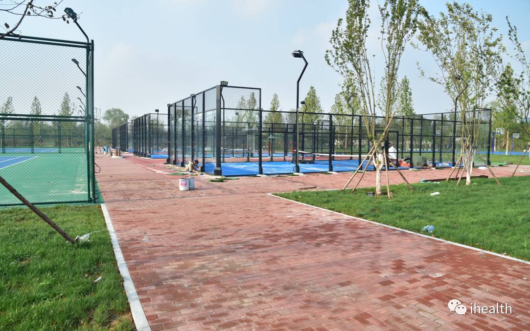 侯臺濕地公園最新動態，科技與自然融合，塑造未來濕地體驗