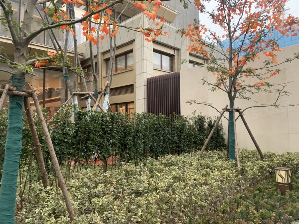 金融街壹號最新價，獲取與理解指南全解析