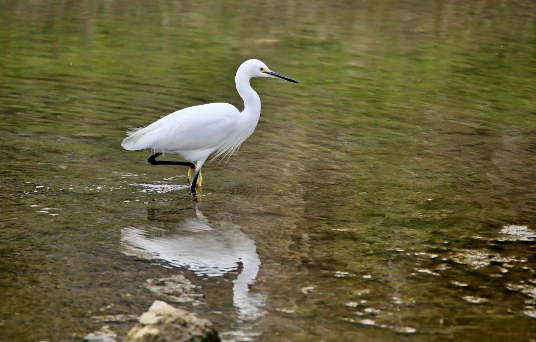 桐梓東站科技引領未來，全新高科技產品亮相亮相站