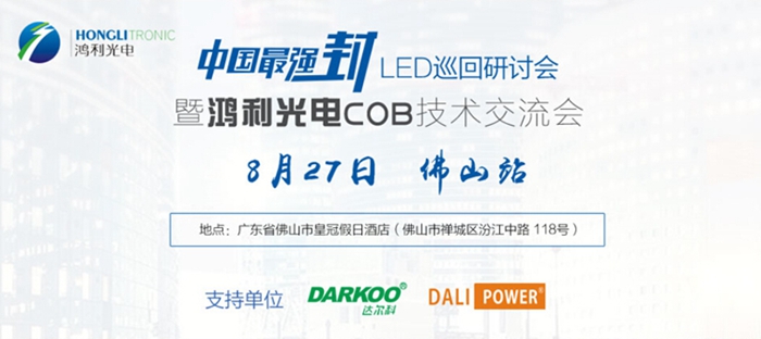 鴻利光電最新動態(tài)揭秘,小巷中的隱藏瑰寶。