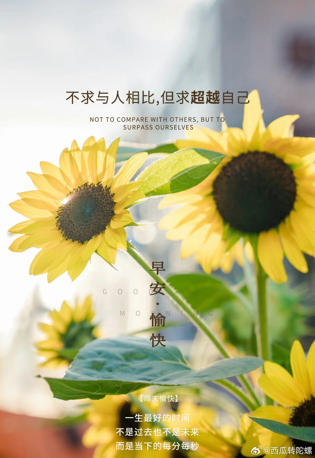 每日七言2024最新版,探索自然美景之旅,尋找內心平和的旅程