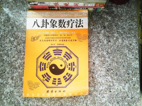 李山玉象數療法最新版，背景、影響與地位解析
