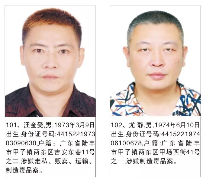 陸豐市最新通緝犯識別與防范指南，通緝犯信息公示及公眾應對建議