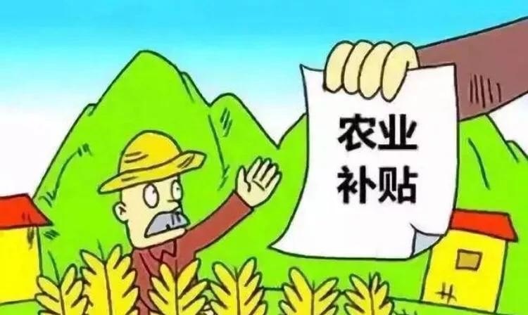 2016大豆補貼最新政策深度解析