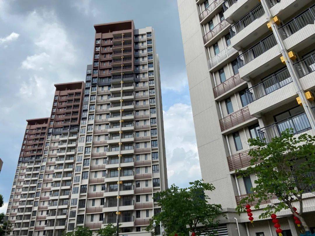 觀園路統建房最新動態，自然美景的探索之旅