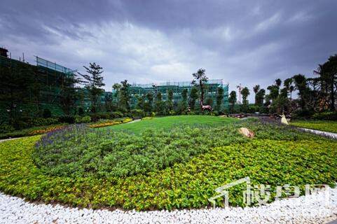 翔安中澳城最新進展，城市新面貌蓬勃發展