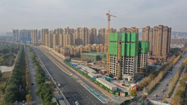 偃師董衛亮最新進展,陽光下的日常趣事揭秘