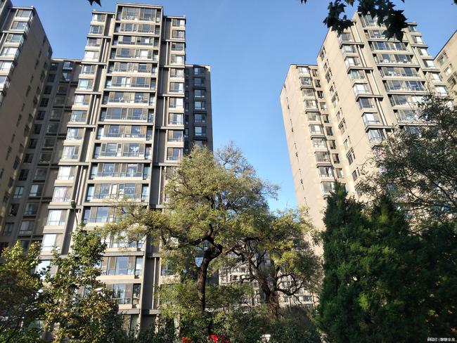 北京市西紅門最新消息,北京市西紅門最新消息，城市發展的前沿動態