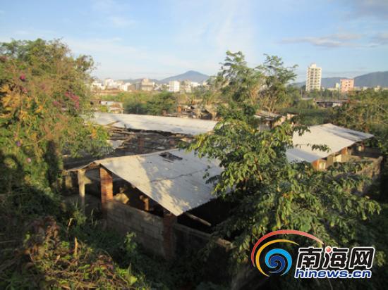 三亞棚戶區最新動態與相關論述揭秘