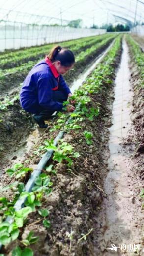 舟山上奇人才網(wǎng)最新招聘信息及其求職全流程指南