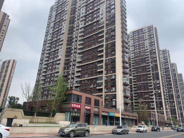 南京保利西江月最新動態,勵志之光引領未來之路