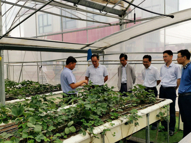 句容農(nóng)科所最新動態(tài)，時代背景下的農(nóng)業(yè)科研開啟新篇章