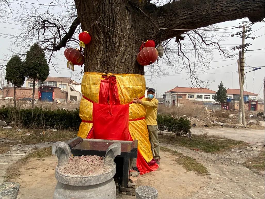 湛上村改造最新動態,蛻變中的村莊,自信與成就感的源泉