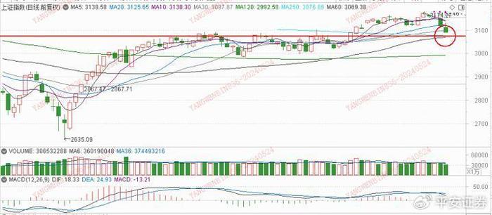 2024新澳開獎生肖走勢,實地數據評估分析_安全版31.311