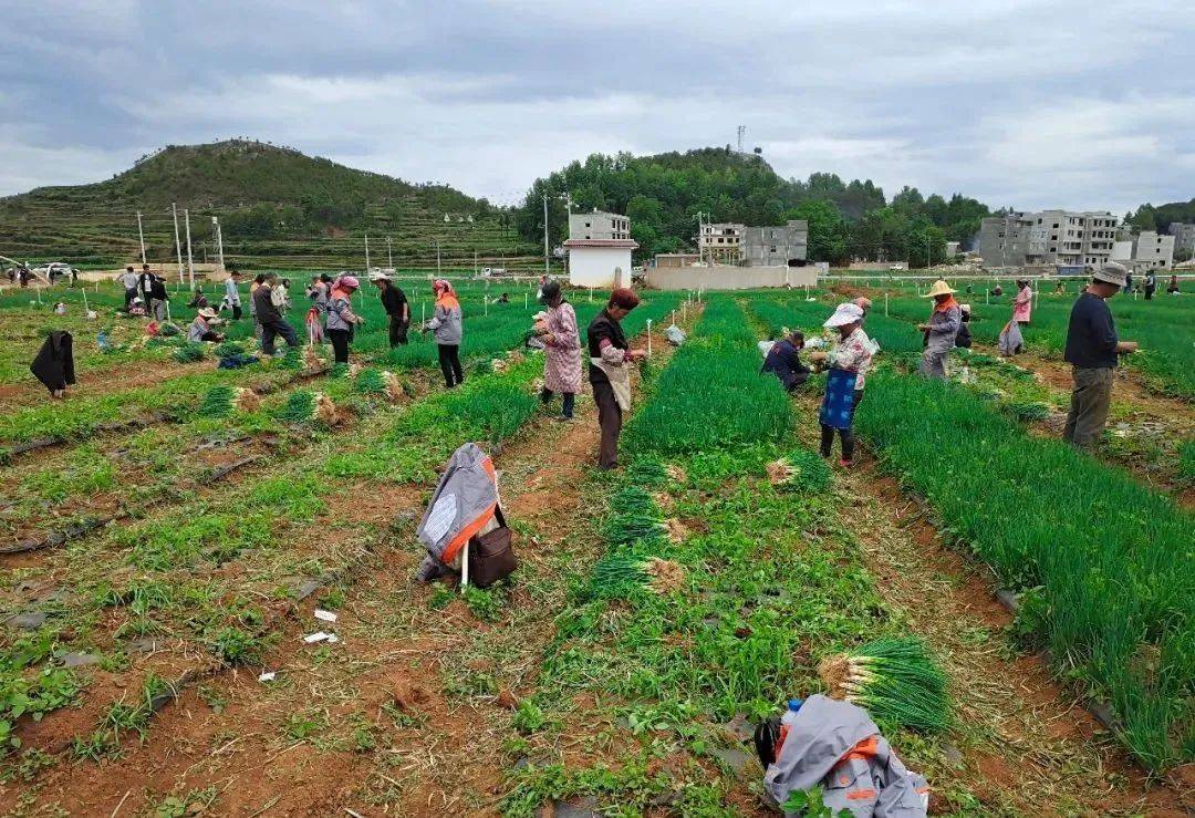 威寧雙龍鎮(zhèn)最新動態(tài),自信與成就感的蛻變