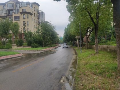 加州玫瑰園最新消息,加州玫瑰園最新消息