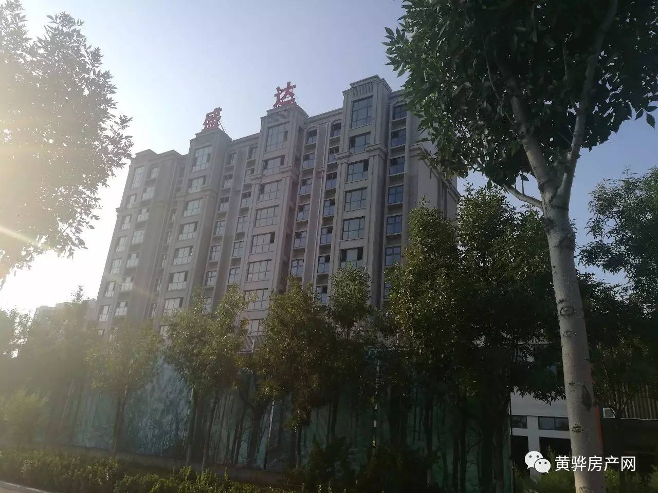 黃驊港房價更新動態,最新消息全面解析