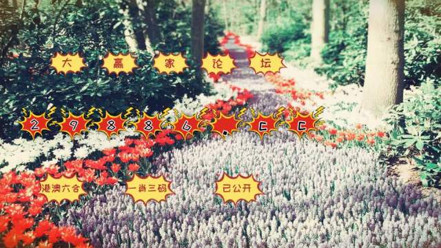 最準(zhǔn)一肖一碼100%噢,解析解釋說法_藝術(shù)版77.222