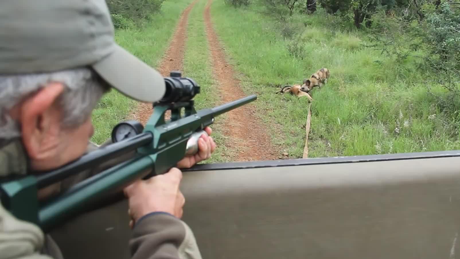 最新款麻醉打狗槍圖片及使用指南全解析