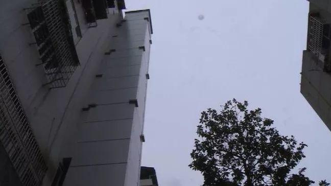 最新交電費系統(tǒng)維護期間,探索自然美景的旅程啟動