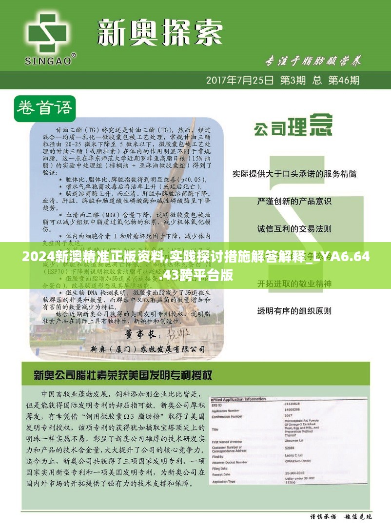 2024新澳精準正版資料,實地驗證實施_工具版22.267