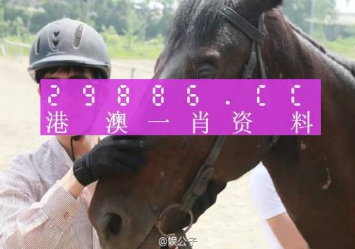 澳門今晚必中一肖一碼準(zhǔn)確9995,數(shù)據(jù)解析引導(dǎo)_嚴(yán)選版15.714