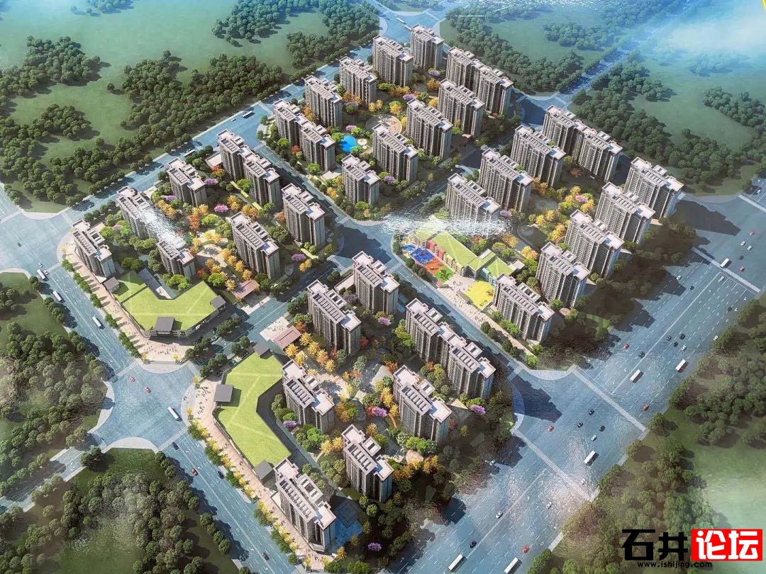 南安石井論壇最新動態更新