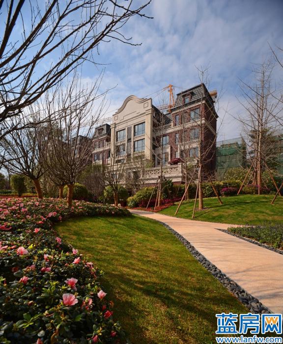 福州泰禾紅悅最新房價,福州泰禾紅悅最新房價指南