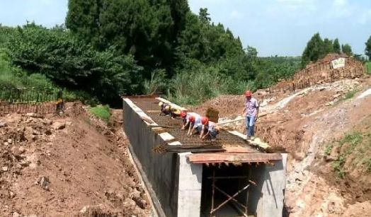 合安高速車(chē)禍最新消息,深度分析與觀點(diǎn)闡述