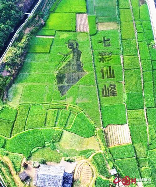 福清岑兜村最新卷款案,福清岑兜村的新篇章,逆風破浪,卷款案背后的勵志故事