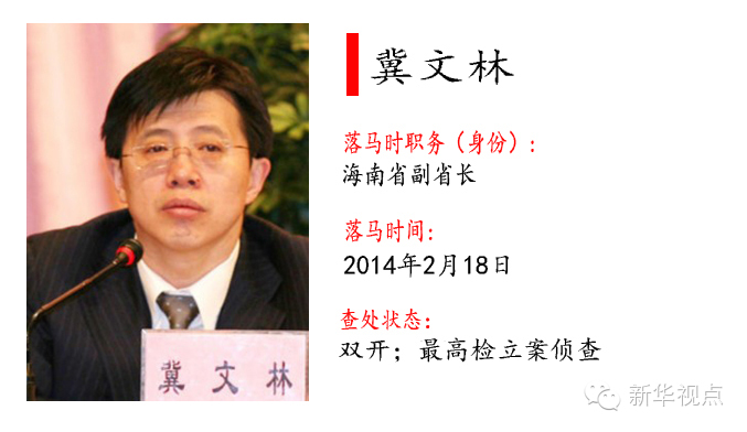 海南省委常委最新名單及其深度解析