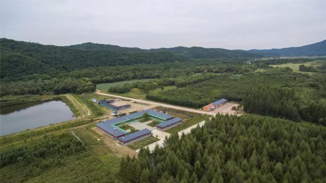 旅游最新政策大盤點,你準備好迎接旅行變革了嗎?