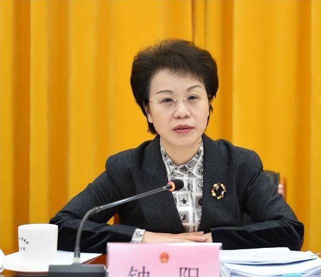 倪斌時代之光下的耀眼成就最新消息