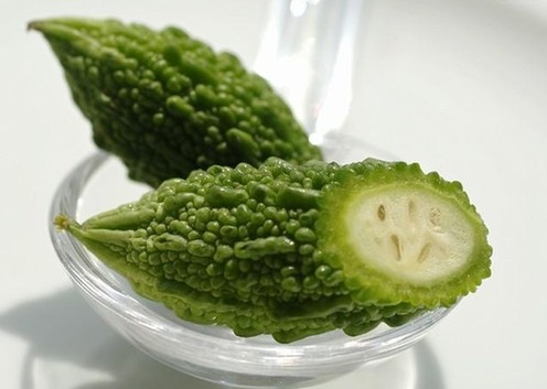 苦瓜網最新地址探索與觀點闡述分享指南