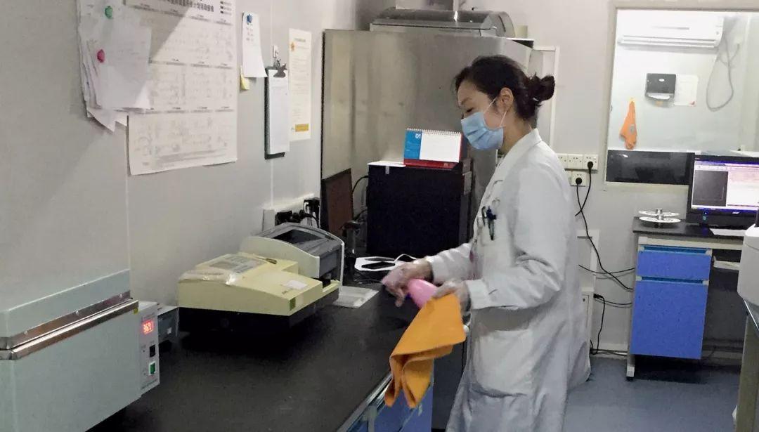 最新湖北省疫情動態及大自然寧靜之旅的探索