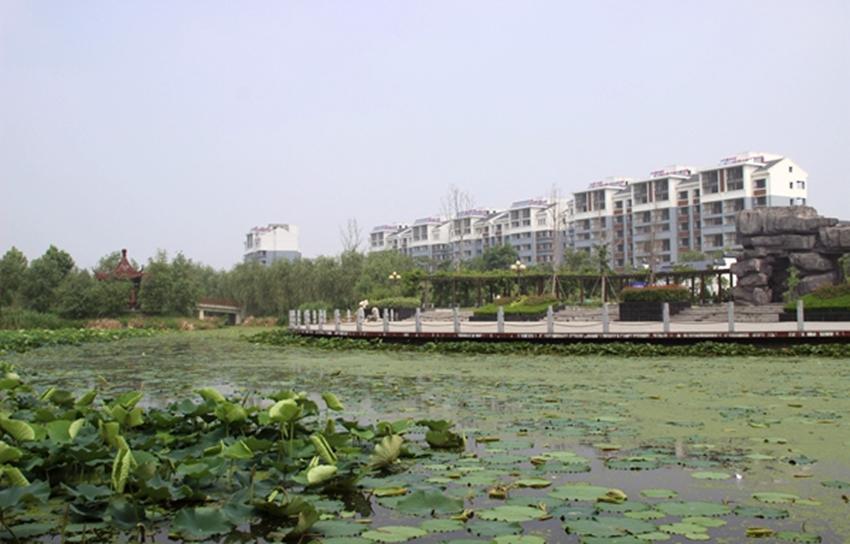 泰州姜堰,自然美景探索之旅,尋求內心平和與寧靜的最新消息