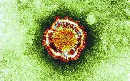 中國新冠病毒最新動態科普文章，了解最新發展及防控措施