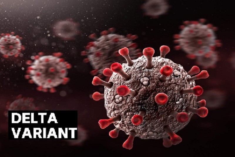 南京新冠病毒最新疫情,城市防控與應對策略