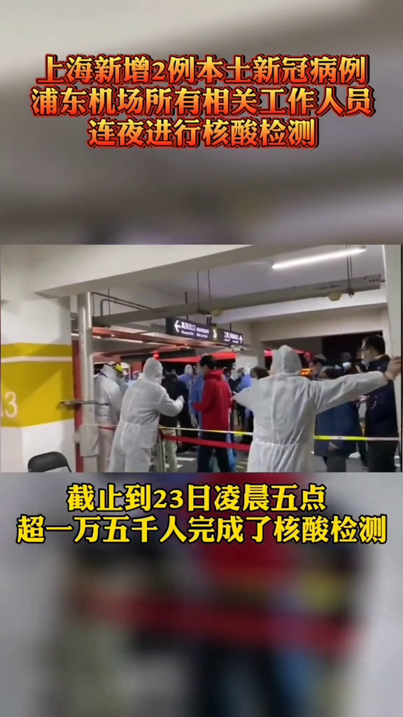 浦東機(jī)場(chǎng)新冠疫情應(yīng)對(duì)指南,初學(xué)者與進(jìn)階用戶的步驟指南