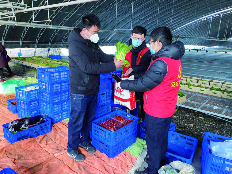 山東德州疫情最新動態,城市應對與公眾關注