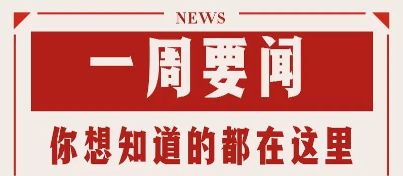 馬會資訊速遞,從入門到進階——任務完成與技能學習指南