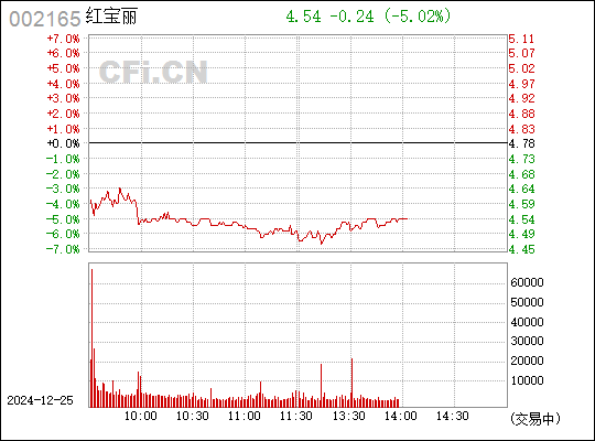 股票紅寶麗，深度探究其魅力與價值