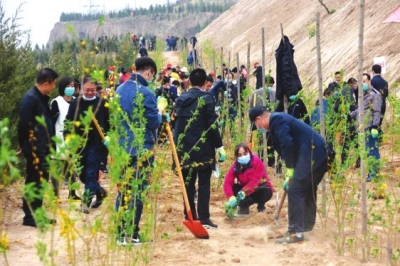 天水植樹指南,任務完成與技能學習攻略