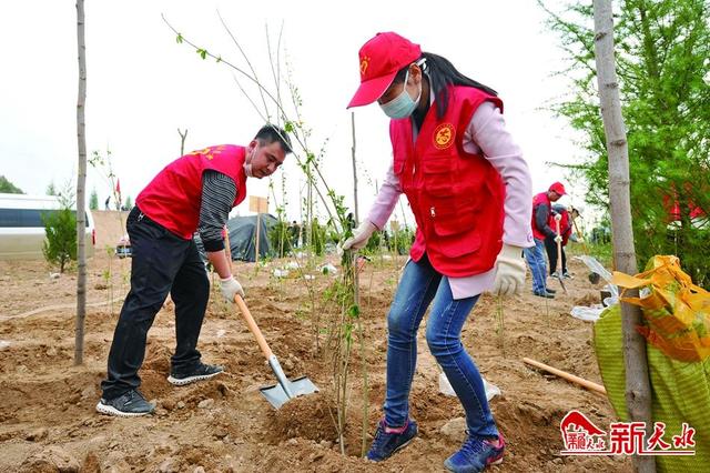 天水植樹指南,任務完成與技能學習攻略