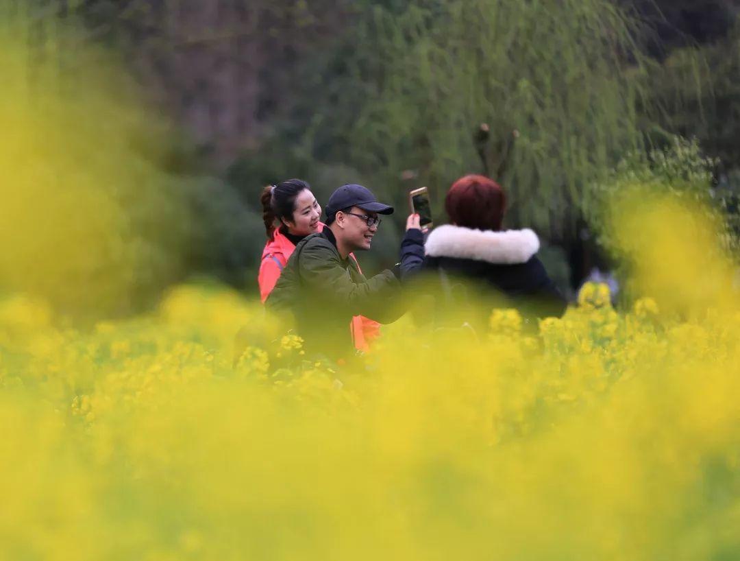 張家界實時天氣，自然之美的氣象解讀與旅游指南