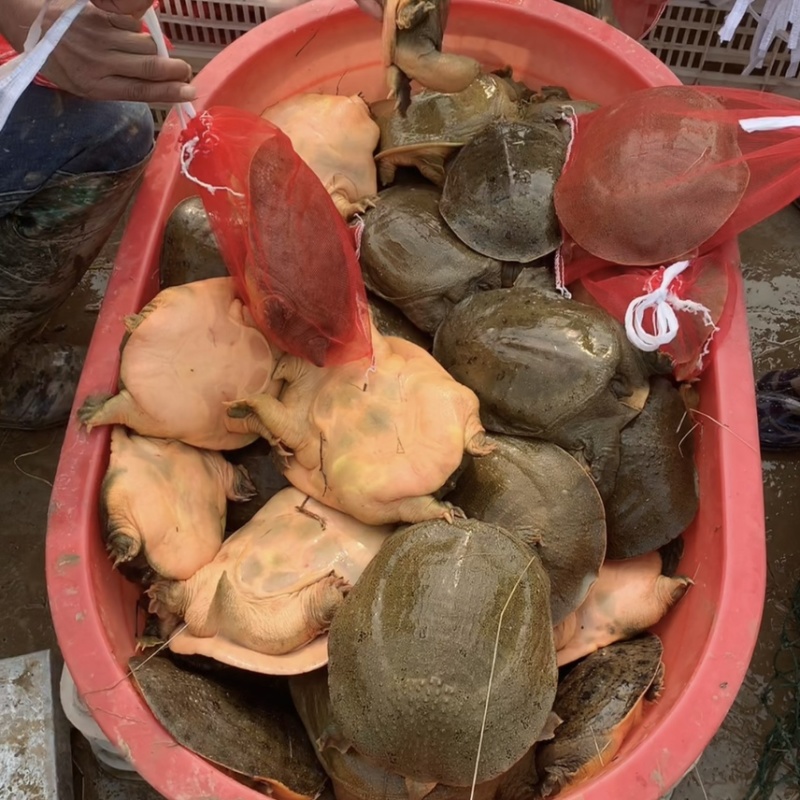 潢川小巷獨特風(fēng)味,新鮮資訊一網(wǎng)打盡