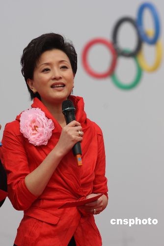 楊瀾最新消息揭秘，小巷深處的獨特風味小店探索